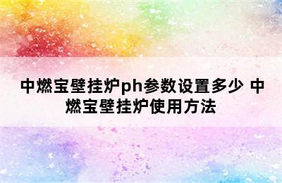 中燃宝壁挂炉ph参数设置多少 中燃宝壁挂炉使用方法